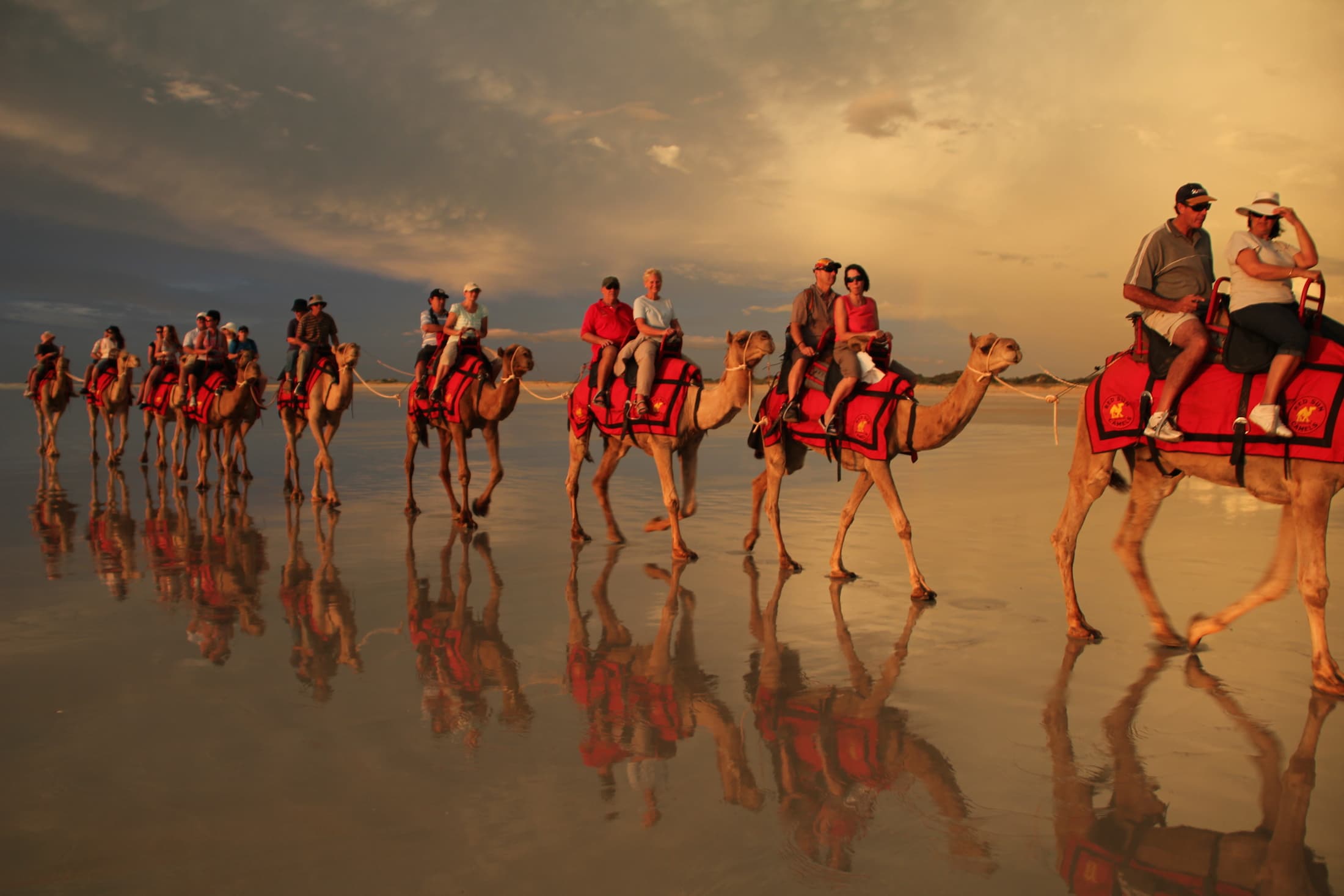 Property Millionaires Club members enjoying a group camel ride