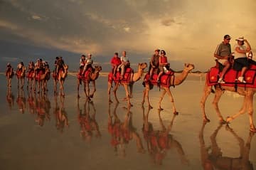 Travel Events